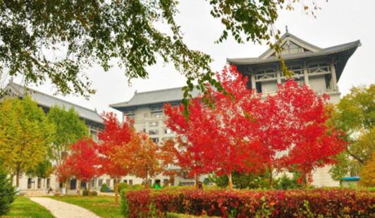 亚星体育逛校园赏美景看哪些大学校园成国家级景区(图11)