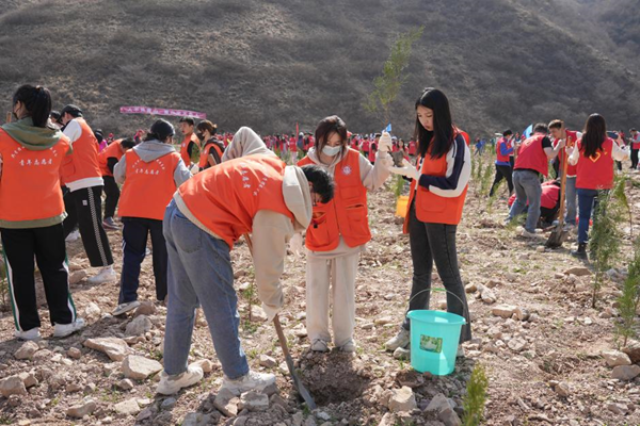 西安培华学院：践行环保理念 开展多样化植树活动bob电竞(图2)