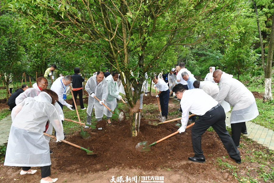 行走中感受多彩贵州美丽中国｜2023世界环境日驻华使节贵州生态bob电竞环保公益行动举行(图6)