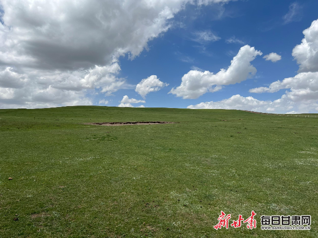 bob电竞【2022生态环保行】 山丹马场“生态+”文章越做越漂亮