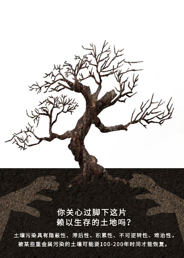 bob电竞图片 2019年四川省大学生环保科普创意大赛图片组一等奖作品展示(图1)