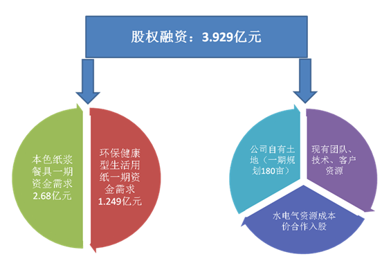 绿色环保本色秸秆纸浆制品产研销基地建设项目商业计划书模板bob电竞(图2)